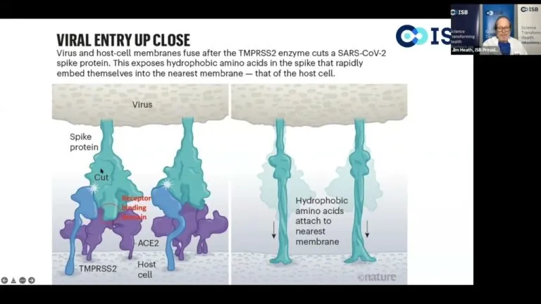 screenshot of video for Research Roundtable with Dr. Jim Heath on COVID